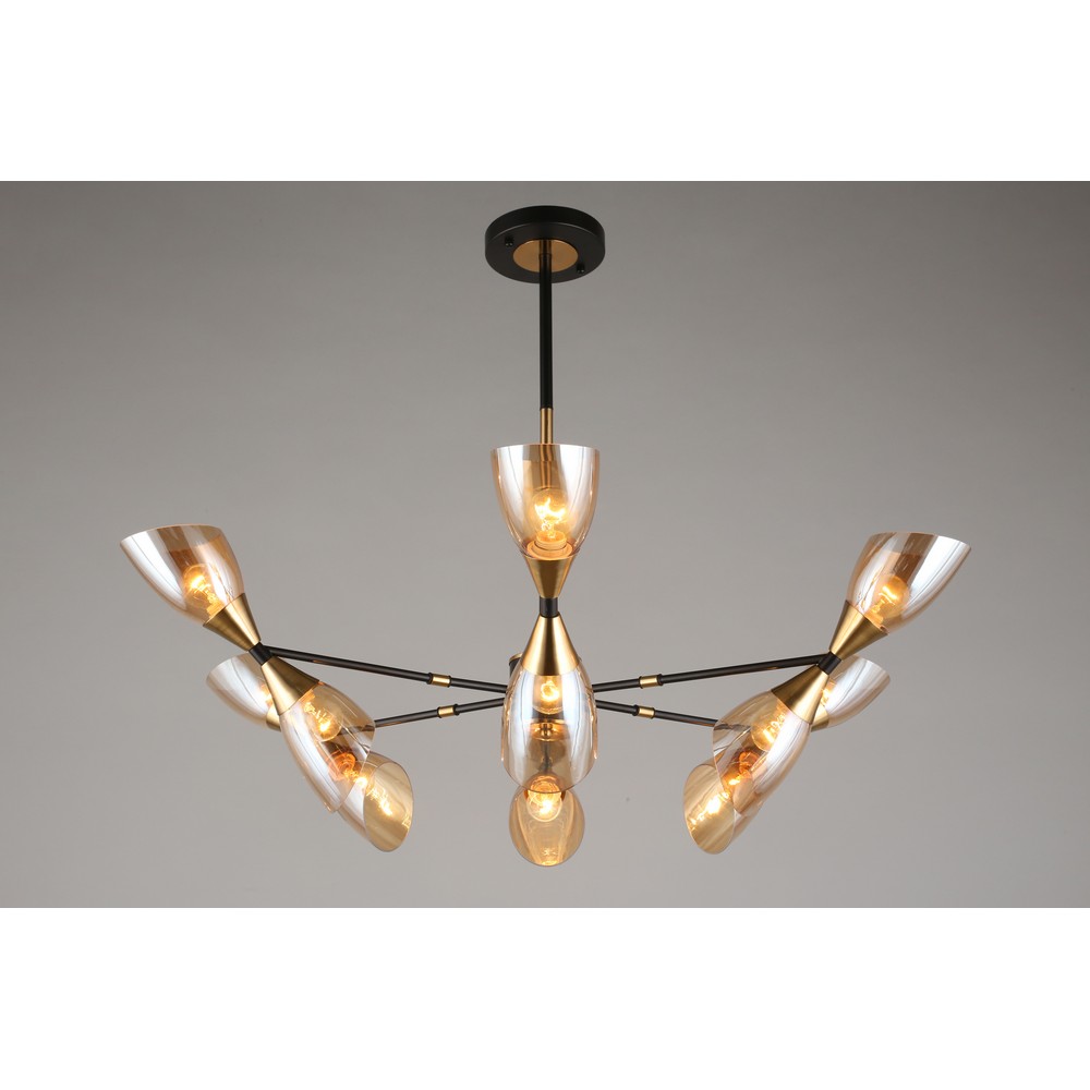 oml-66807-12_2 oml-66807-12_2