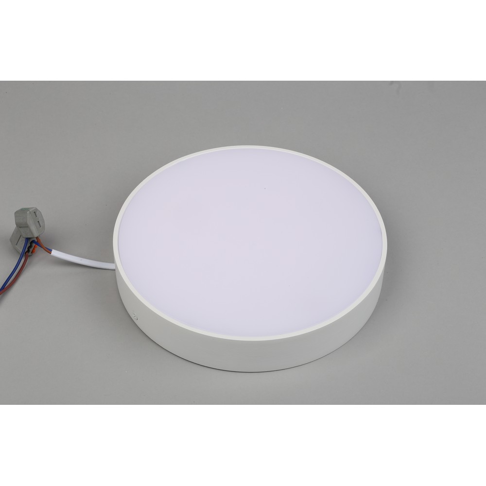 APL.0113.09.24_2
