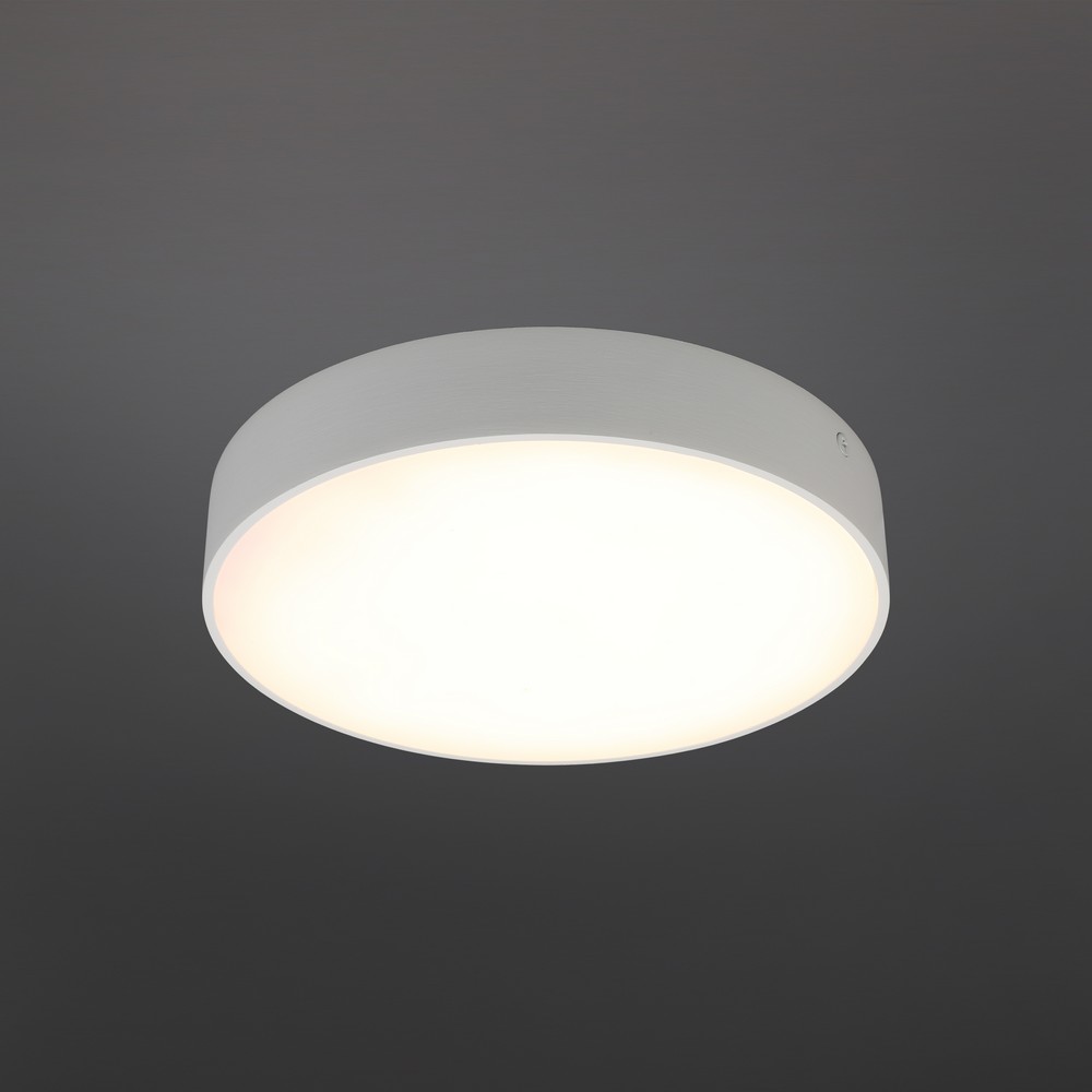 APL.0113.09.24_01