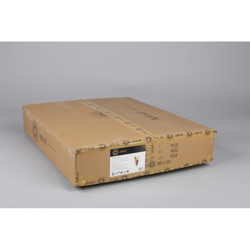APL.855.01.03_9999