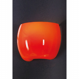 LSN-0211-01