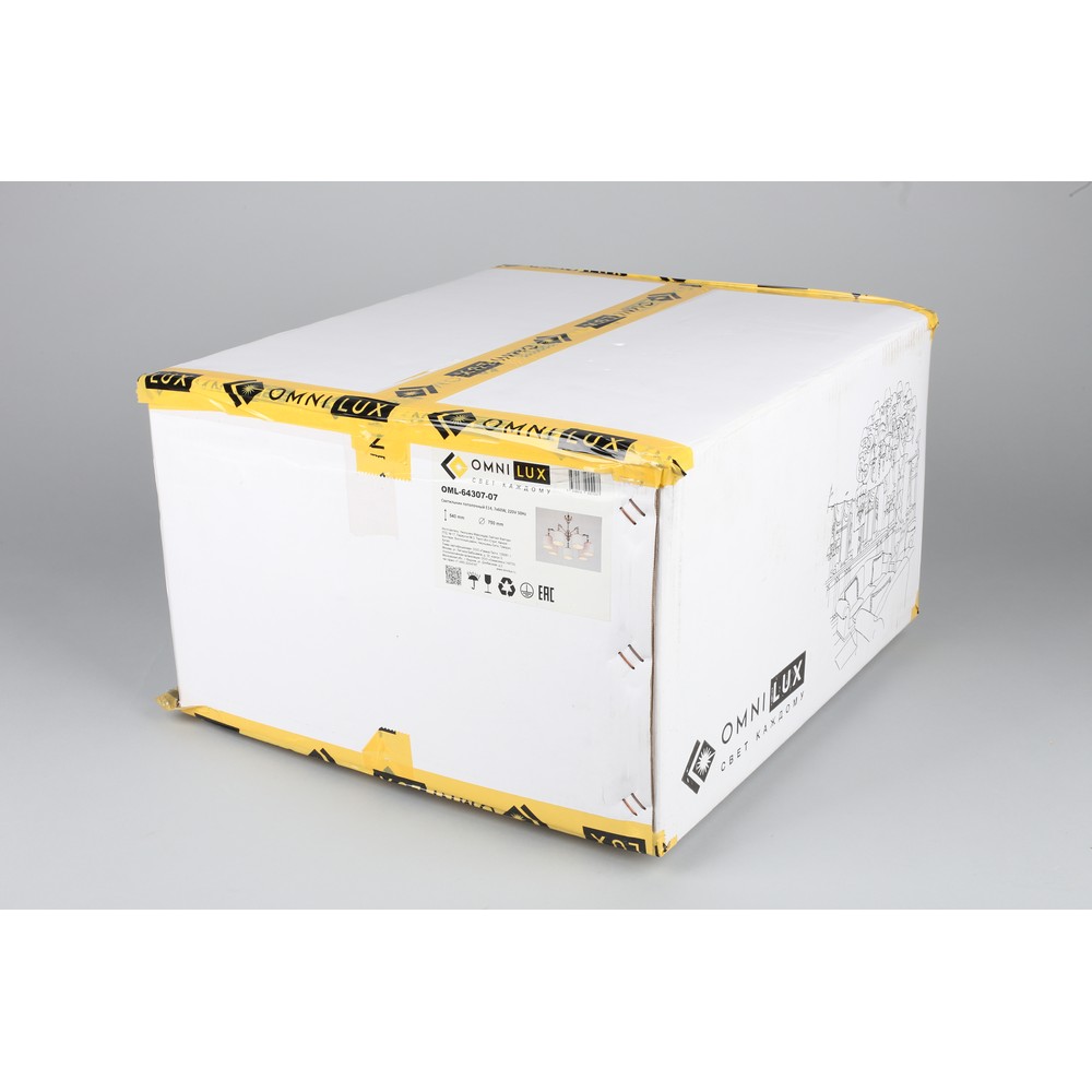 oml-64307-07_99