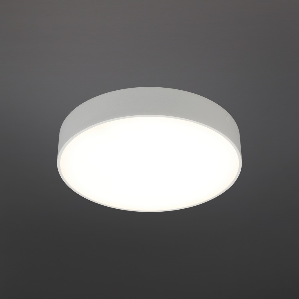 APL.0114.09.24_01