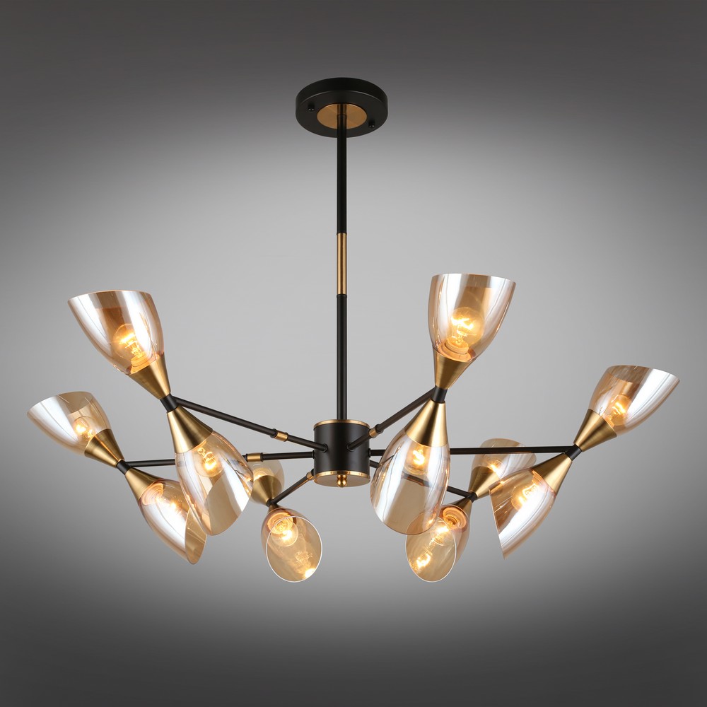 oml-66807-12_01 oml-66807-12_01