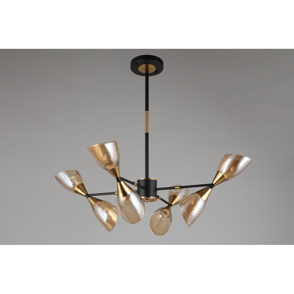 oml-66807-08_1 oml-66807-08_1