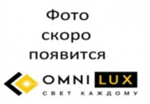 лампа т-5 круг 55вт (oml-34706-01)